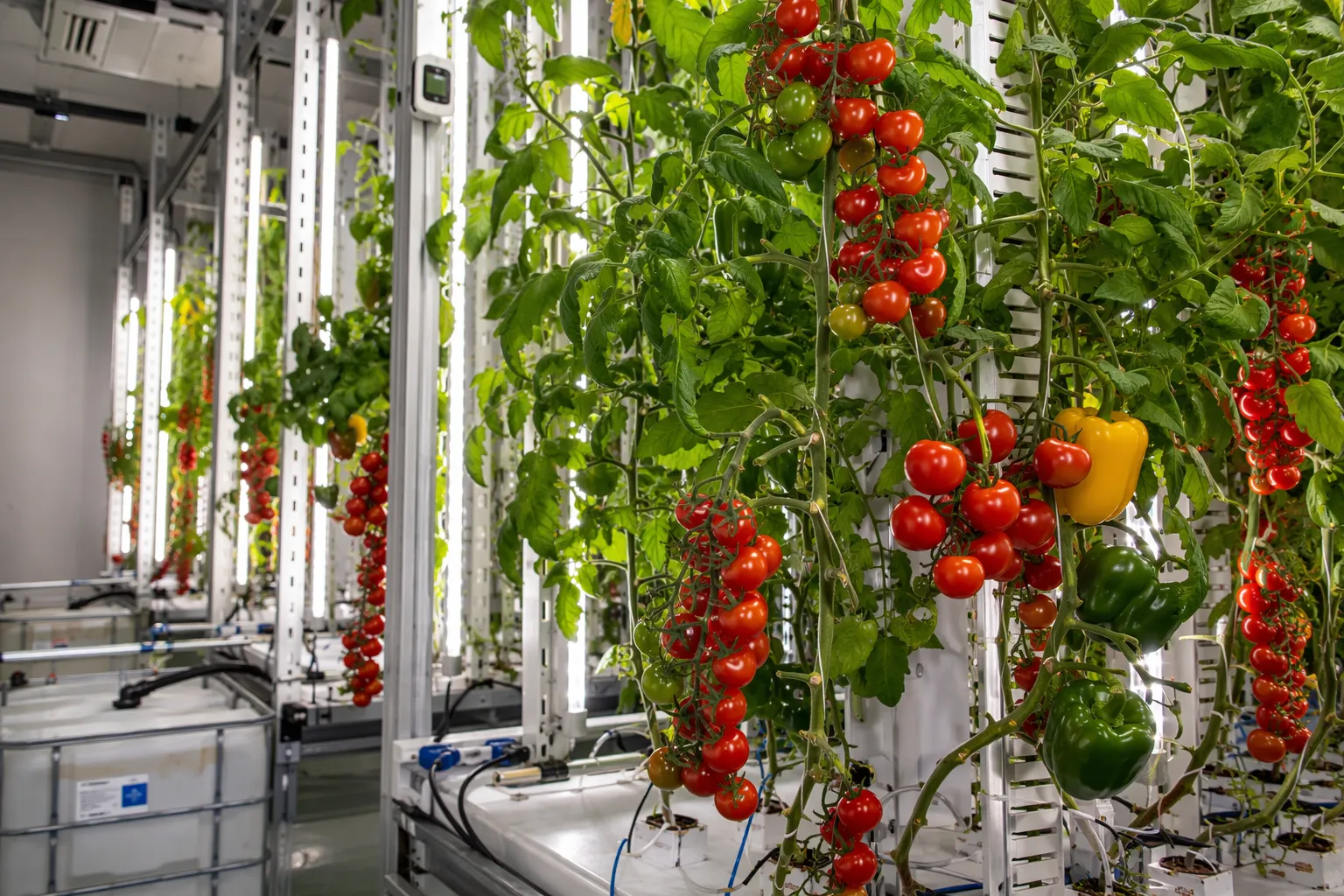 Revolutionizing Agriculture: The Power of Large-Scale Fruit and Vegetable Cultivation Containers