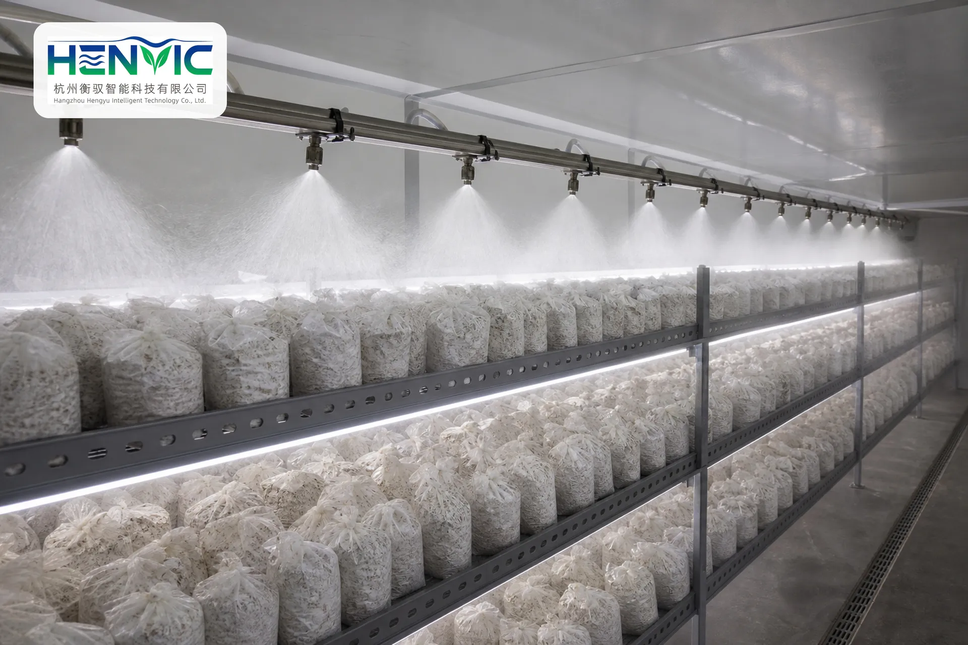 HVC-M08 Shiitake Mushroom (King Oyster Mushroom) Cultivation Container