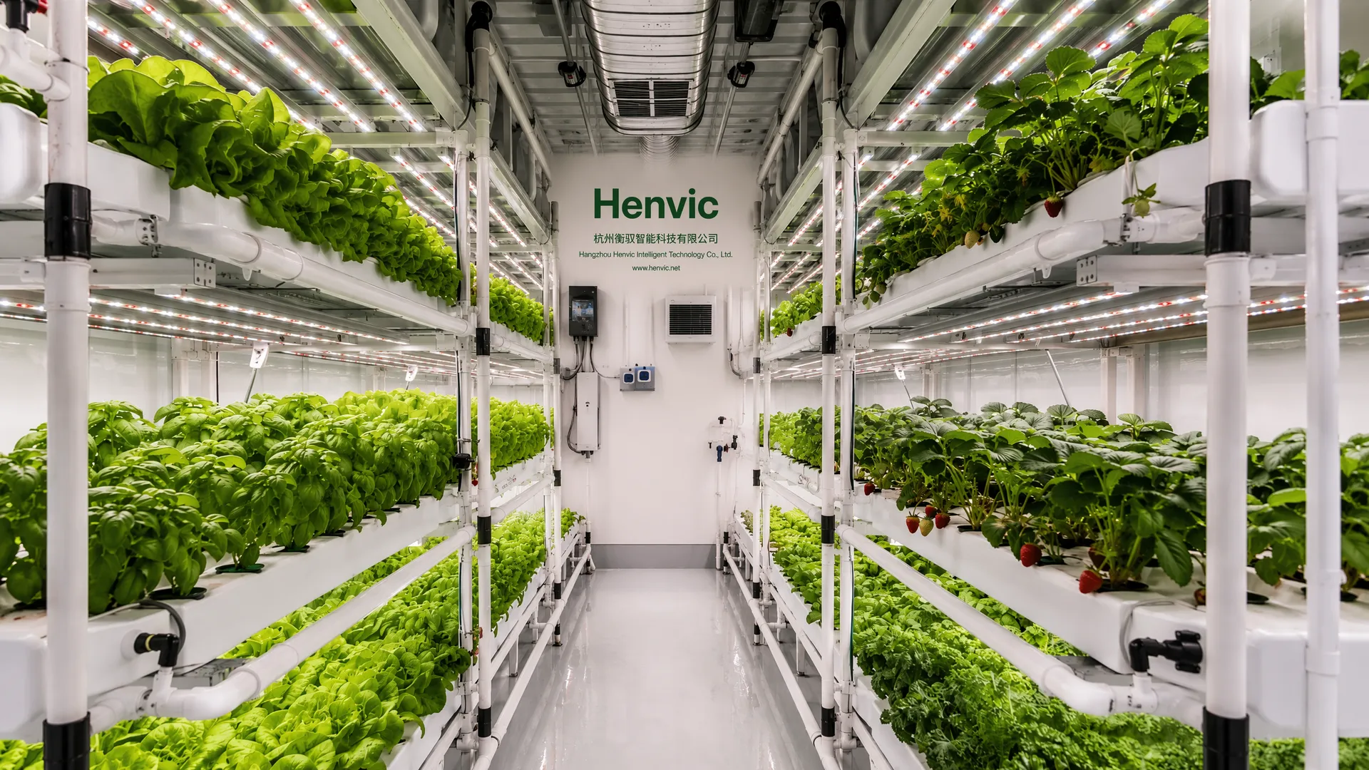 Here is an English news case study on vegetable cultivation container technology.