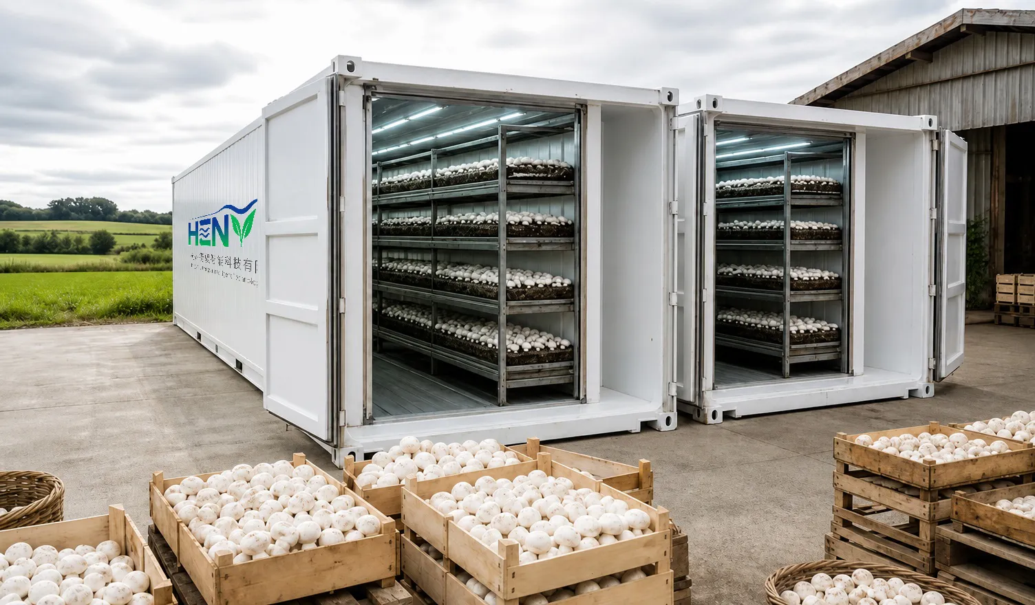 Mushroom Cultivation Containers: An Industry Knowledge Overview